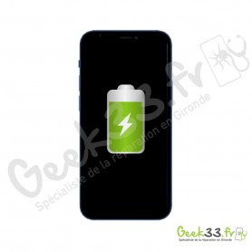 Remplacement batterie Apple iPhone 12 Mini