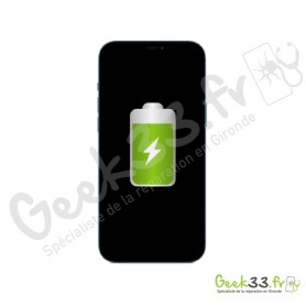 Remplacement batterie Apple iPhone 13 Pro Max
