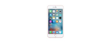 iPhone 6/6S