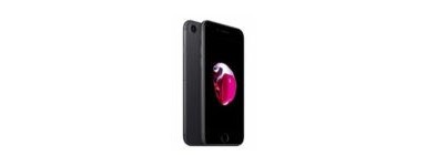 iPhone 7/8