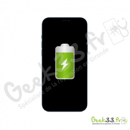Remplacement batterie Apple iPhone 12 Pro