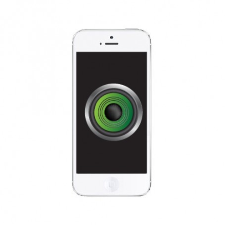 Réparation Apple iPhone 5 Haut-parleur bas (Réparation uniquement en magasin)