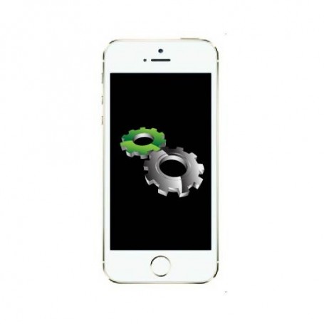 Réparation Apple iPhone 5S tiroir SIM (Réparation uniquement en magasin)
