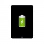 Réparation Apple iPad Mini 2 batterie (Réparation uniquement en magasin)
