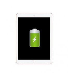 Réparation Apple iPad Pro 9.7 Batterie (Réparation uniquement en magasin)