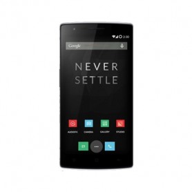 Réparation OnePlus One Batterie (Réparation uniquement en magasin)