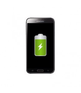 Remplacement Samsung Galaxy S5 SM-G900 Batterie