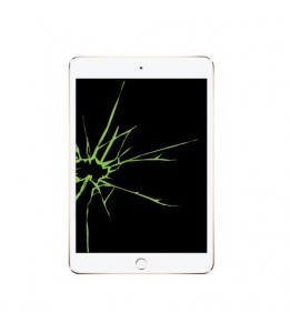 Réparation écran Apple iPad Mini 5 (A2133, A2124, A2126, A2125) vitre + LCD