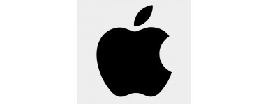 Apple iPad
