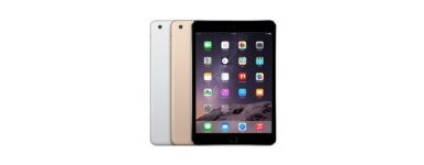 Apple iPad Mini 1 (A1432, A1454, A1455)