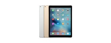 Apple iPad Pro 12.9 (1er Gen, A1584, A1652)