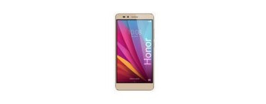 Huawei Honor 6X.