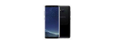 Samsung S8 Plus SM-G955.