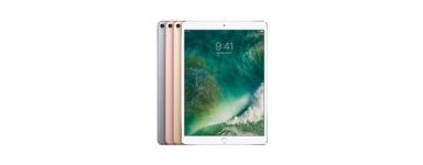 Apple iPad 5 (5eme Gen, A1822, A1823)